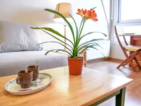 Le Polo, Appartement 2 personnes à Deauville Trouville - Photo 7
