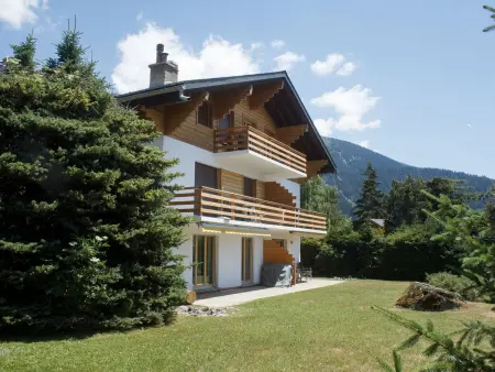 Baroudeur B04, Appartement 4 personnes à Verbier - Photo 4
