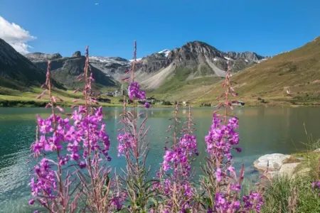Le Hameau du Borsat 5, Chalet Tignes pour les familles - Photo 27