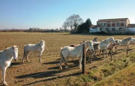 Maison 4 personnes à Calvisson - Photo 32