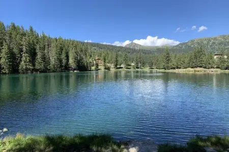 Les Epinettes 5, Appartement à Vaujany près d'Arpette - Photo 17