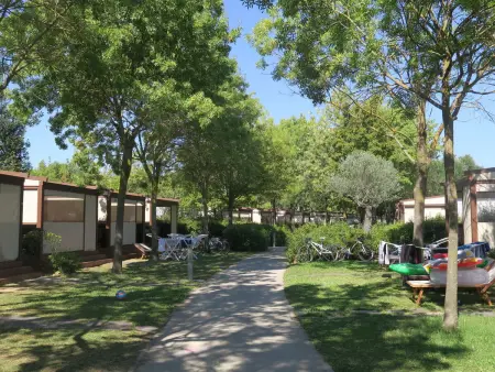 Camping Europa, Maison 5 personnes à Grado - Photo 16
