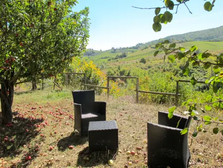Le Sodole - Papavero, Appartement 4 personnes à San Gimignano - Photo 3