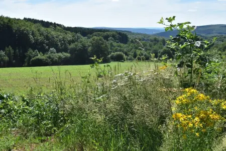 Gite 6 pers Bellevue - Le-Chardonneret, Maison à Luzy avec jardin clôturé - Photo 18