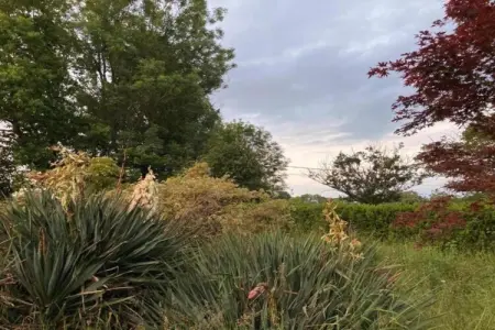 Gite 6 pers Bellevue - Le-Chardonneret, Maison à Luzy avec jardin clôturé - Photo 28