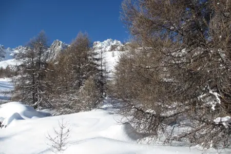 Chalet de montagne, Chalet alpin à Bourella - Photo 32