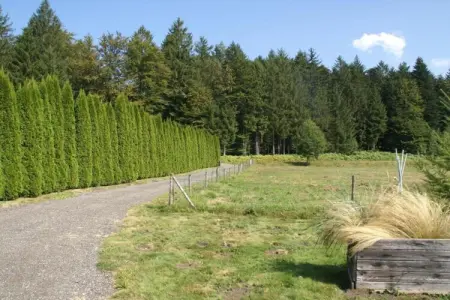 Gîte du Crâ, Séjour au Jardin de Saint-Quirin - Photo 33