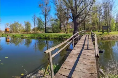 Holiday home Boca, Maison près de Zadar avec piscine privée - Photo 38