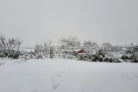 Azur, Escapade de charme dans les Ardennes - Photo 44
