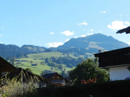 Résidence Sonnegg (Puric), Appartement 3 personnes à Zweisimmen - Photo 8