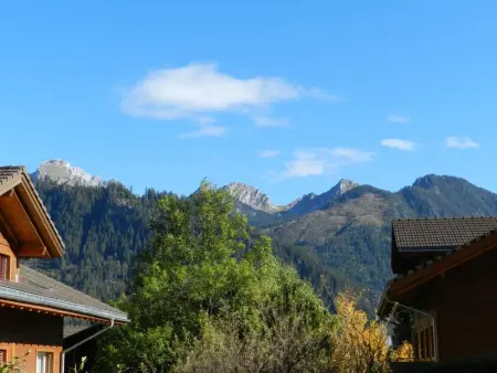 Résidence Sonnegg (Puric), Appartement 3 personnes à Zweisimmen - Photo 9
