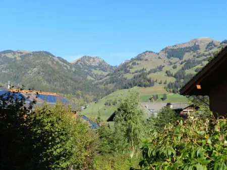 Résidence Sonnegg (Puric), Appartement 3 personnes à Zweisimmen - Photo 10