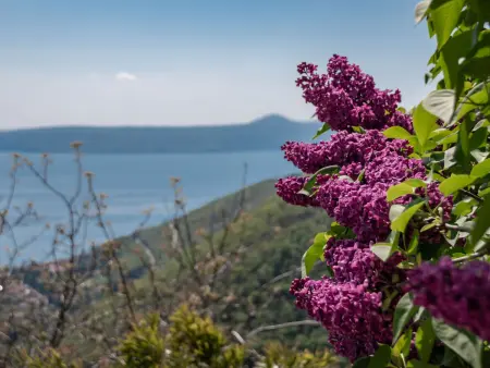 Stefi, Maison 6 personnes à Mošćenička Draga - Photo 18