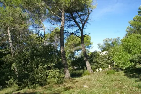Crillon le Brave, Villa à Crillon-le-Brave près du Ventoux - Photo 28