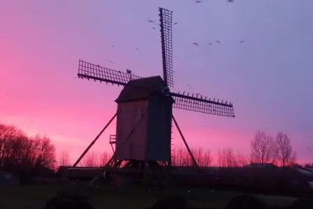 De Bietenmolen, Maison à Alveringem près de la Plage - Photo 29