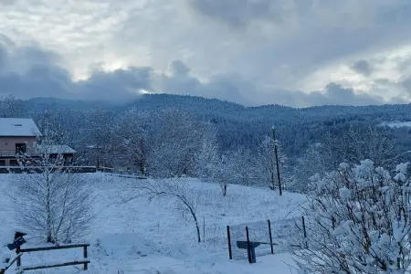 l'Aigle chalet ensemble - Saint-Maurice-sur-Moselle, Chalet avec Jardin à Lotharingen - Photo 34