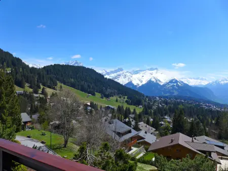 Savoie 1, Chalet 4 personnes à Villars - Photo 6
