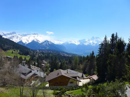 Savoie 1, Chalet 4 personnes à Villars - Photo 14