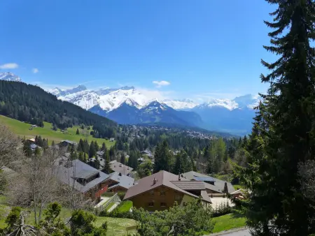 Savoie 1, Chalet 4 personnes à Villars - Photo 15