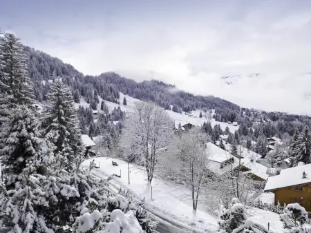 Savoie 1, Chalet 4 personnes à Villars - Photo 20