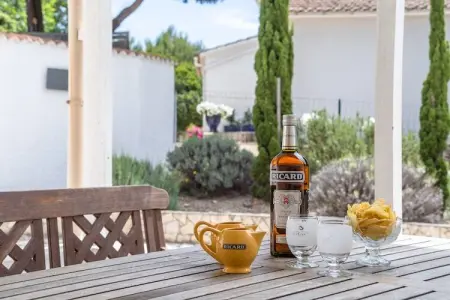 Aux Arbres Verts, Villa à Pouzols avec piscine et vignobles - Photo 38