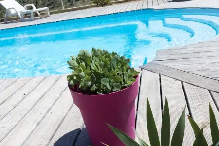 Villa Canissa, Villa à Beaufort avec piscine privée - Photo 39