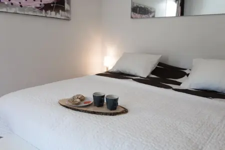 Villa Le Vigne du Paradis, Villa à Castelnau d'Aude avec Piscine - Photo 10