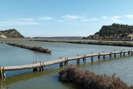 Villa Les Etangs, Villa près du lac Les Etangs de Bages - Photo 32