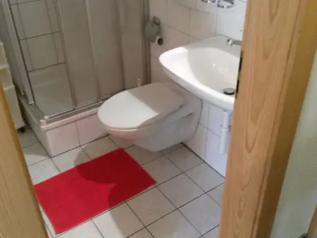 ABC Ferienwohnung 1 1. OG Süd, Appartement 4 personnes à Fiesch - Photo 17