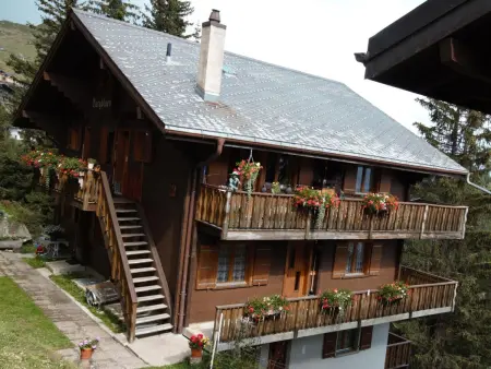 Bärgblüemli 1. OG Ost, Appartement 2 personnes à Bettmeralp - Photo 1