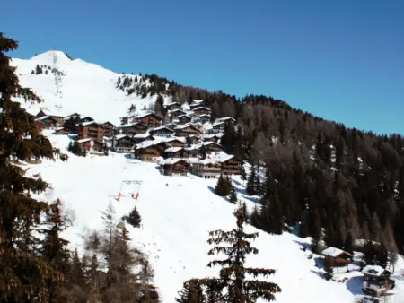 Bärgblüemli 2. OG Ost, Appartement 2 personnes à Bettmeralp - Photo 19