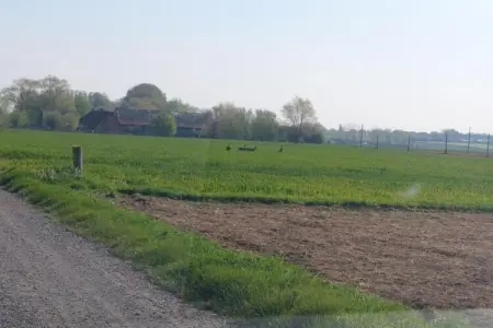 Hommelhove, Maison à Poperinge près des sites WWI - Photo 35