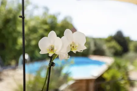 maison Gallin, Maison à Brignoles avec Piscine Privée - Photo 26