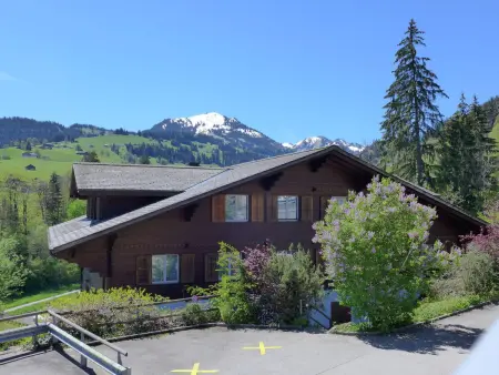 Belmi, Appartement 6 personnes à Zweisimmen - Photo 24
