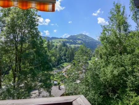 Belmi, Appartement 6 personnes à Zweisimmen - Photo 28