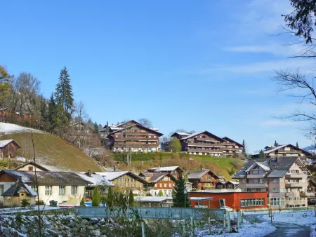 Belmi, Appartement 6 personnes à Zweisimmen - Photo 32