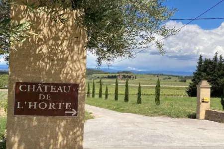 Mas de Montbrun, Escapade au vignoble de Montbrun - Photo 27