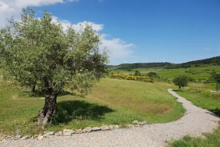 Portanelle 8 p, Séjour dans un vignoble avec piscine - Photo 29