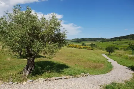 Portanelle 10 p, Villa de luxe à Montbrun - Photo 31