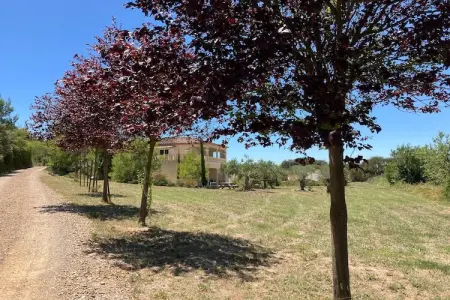 Chateau Henry, Villa Bliss dans le vignoble - Photo 23