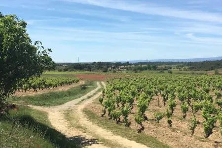 Chateau Henry, Villa Bliss dans le vignoble - Photo 37