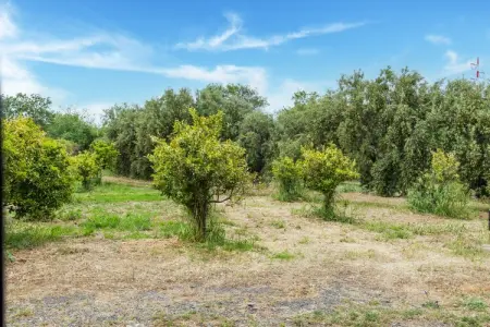 Trilo Carlentini, Maison de Vacances près de l'Etna - Photo 37