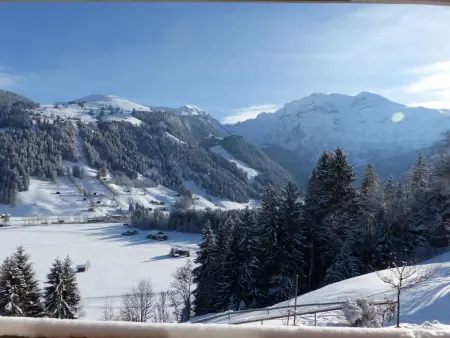 Strubelblick EG, Appartement 5 personnes à Lenk - Photo 7