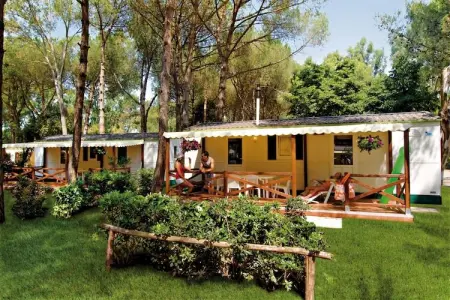 Baia Domizia Villaggio Camping D5, Chalet ombragé en bord de mer - Photo 1