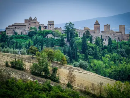 Podere La Torre, Gite 4 personnes à Certaldo - Photo 21