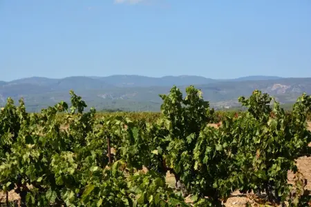 La Bergerie, Villa à Caunes-Minervois avec piscine privée - Photo 25