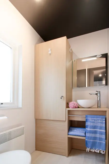 Premium Taos, Maison 4 personnes à Ondres - Photo 9