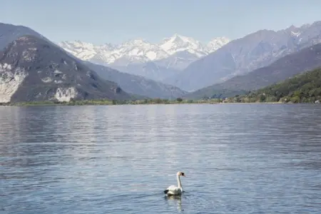 Casa Susanna, Chalet près du Lac Majeur avec Jardin - Photo 21