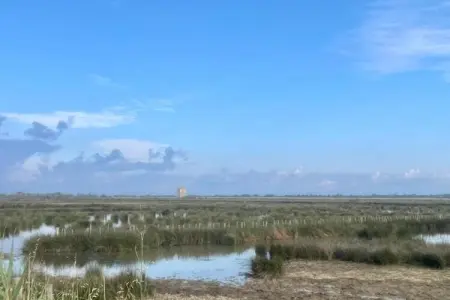 Fleur de Sel - Aigues Mortes 2, Maisonette à Aigues-Mortes près de Camargue - Photo 19