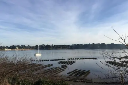 Les Iles du Morbihan 1, Appartement en Bretagne près du Morbihan - Photo 26